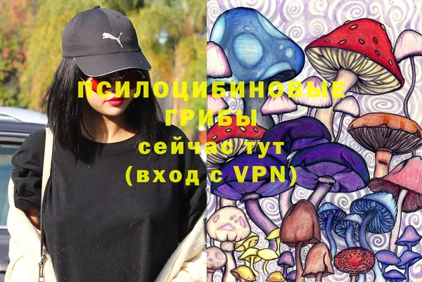 ПСИЛОЦИБИНОВЫЕ ГРИБЫ Алзамай