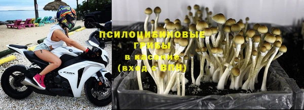хмурый Алексеевка