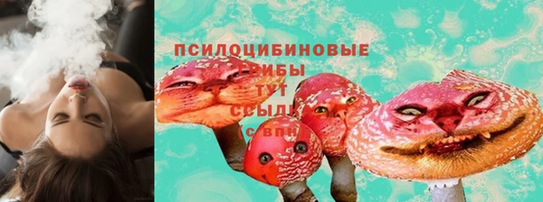 хмурый Алексеевка