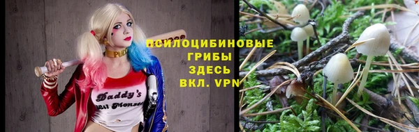 хмурый Алексеевка