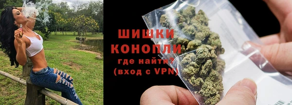 ПСИЛОЦИБИНОВЫЕ ГРИБЫ Алзамай