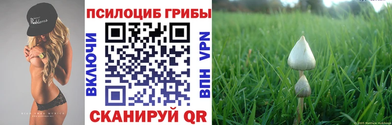 Галлюциногенные грибы MAGIC MUSHROOMS  darknet состав  Мамоново 